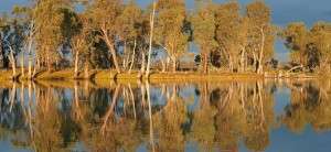 Riverland Scenery near Berri South Australia